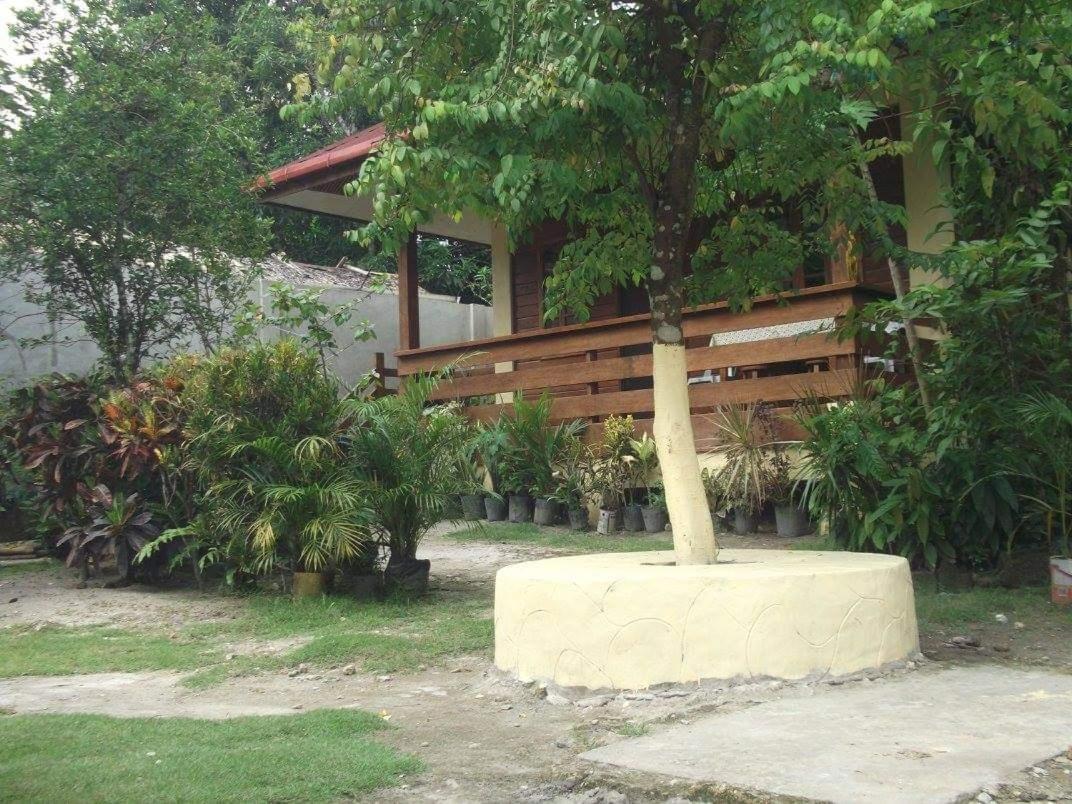 Nellie'S Tourist Inn- Port Barton San Vicente  Eksteriør bilde